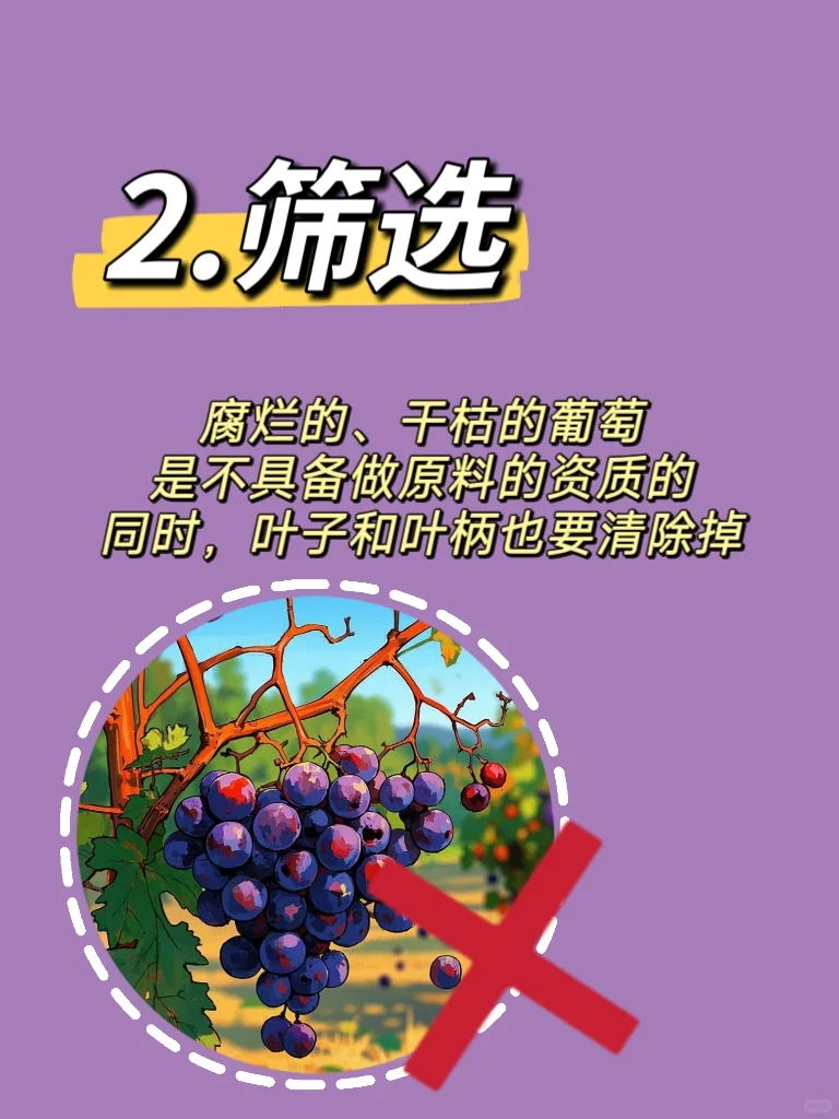 葡萄酒的前世今生(四)?葡萄酒的酿造过程