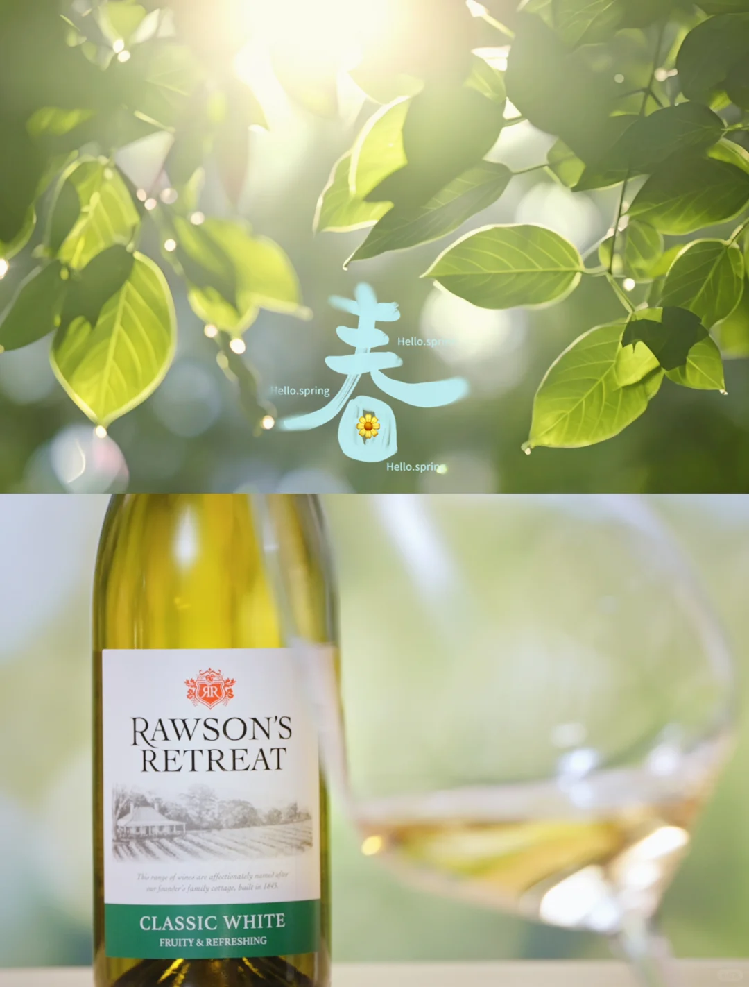 这杯白葡萄酒，刚好装得下整个春天✨