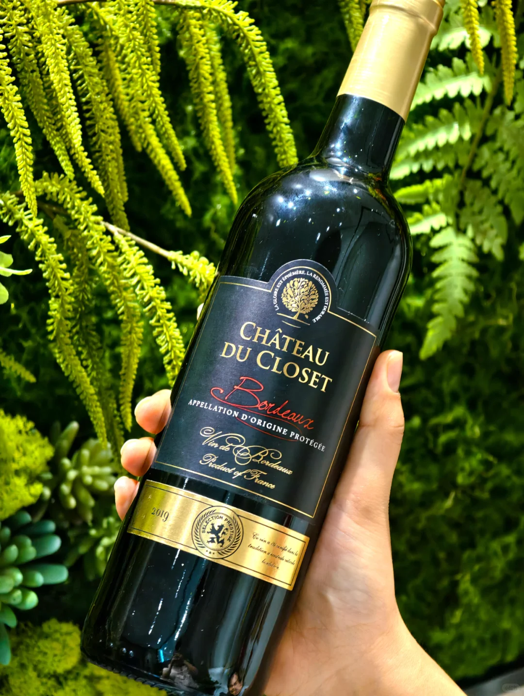 蒙佩斯干红葡萄酒美酒放松身心~