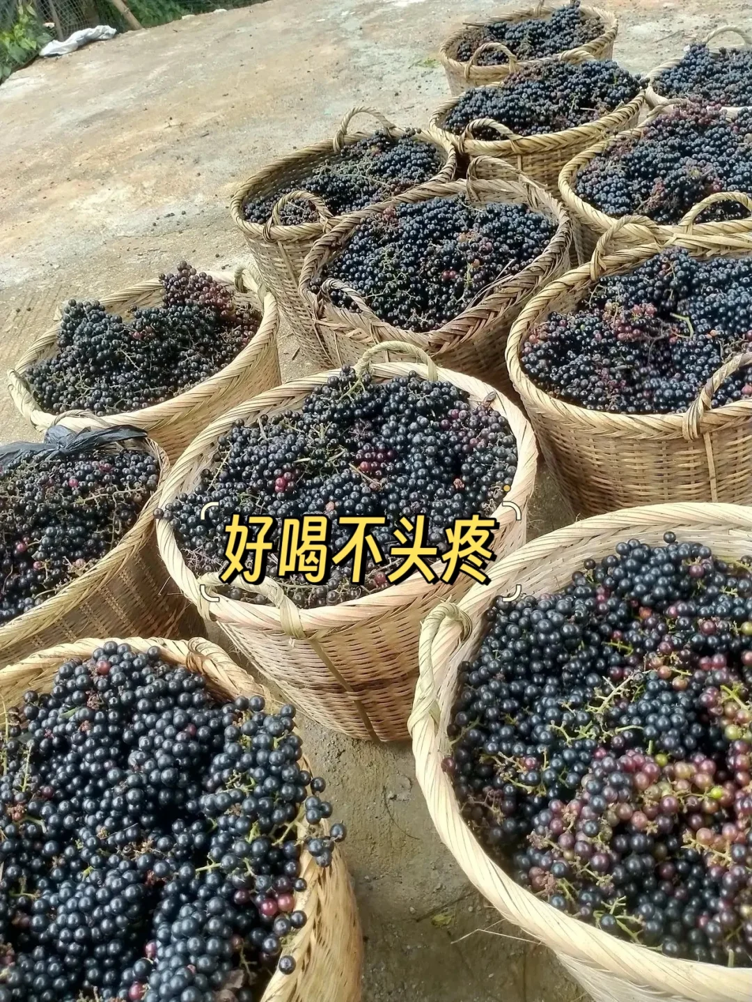 自家酿的纯葡萄酒