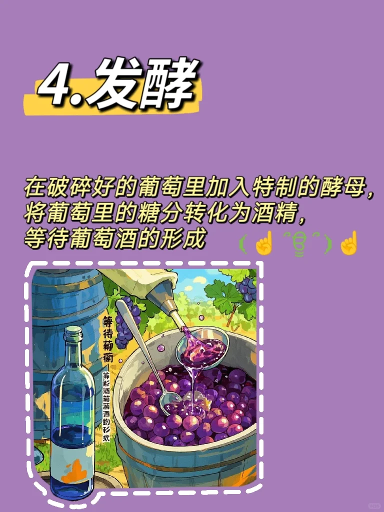 葡萄酒的前世今生(四)?葡萄酒的酿造过程