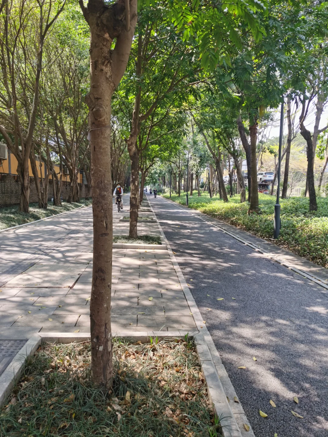 讲述我老板从亿万身家到负债累累的荒唐之路