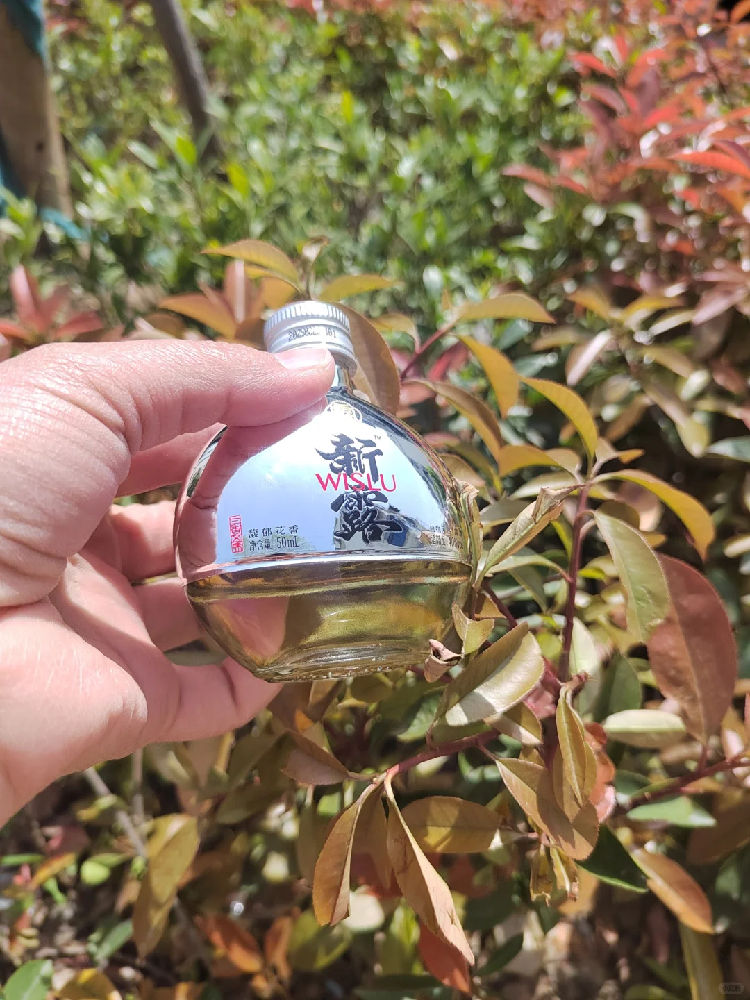 哇哦！闺蜜推荐一瓶白酒，这也太可爱吧！