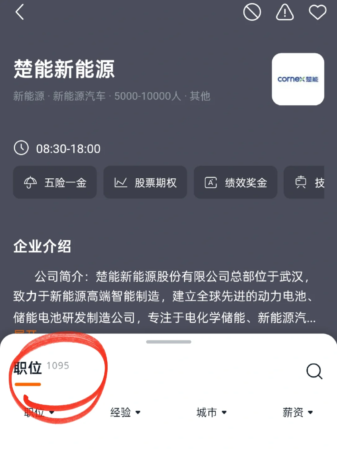 3月大量招人的新能源行业公司盘点