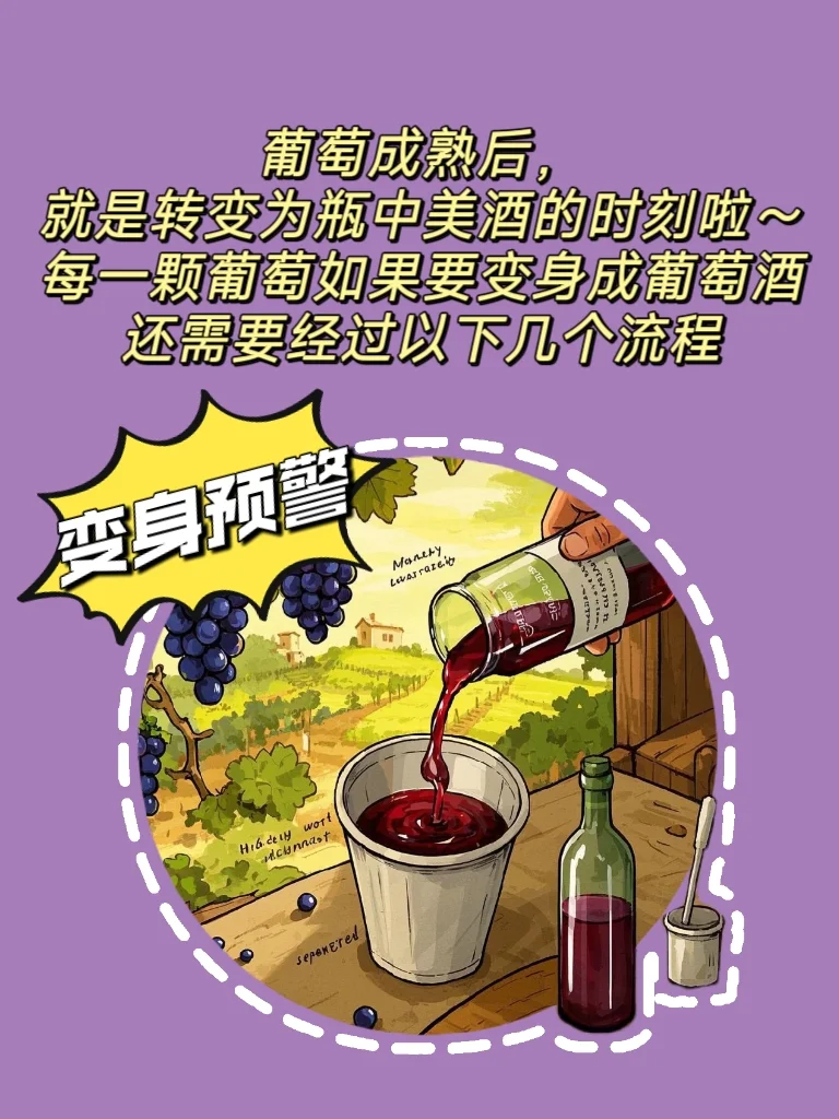 葡萄酒的前世今生(四)?葡萄酒的酿造过程