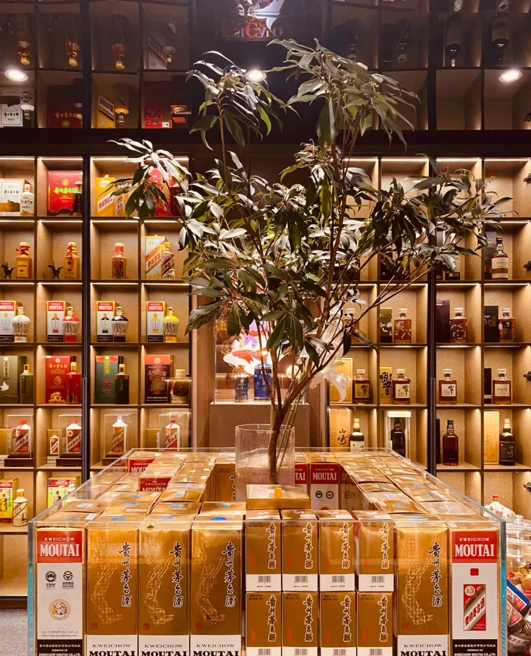 茅台墙