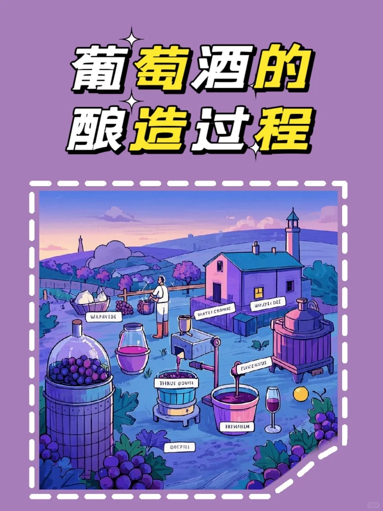 葡萄酒的前世今生(四)?葡萄酒的酿造过程