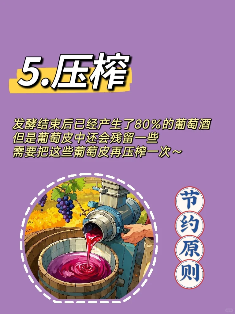 葡萄酒的前世今生(四)?葡萄酒的酿造过程