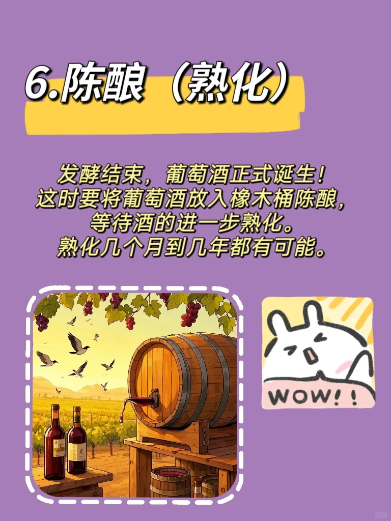 葡萄酒的前世今生(四)?葡萄酒的酿造过程