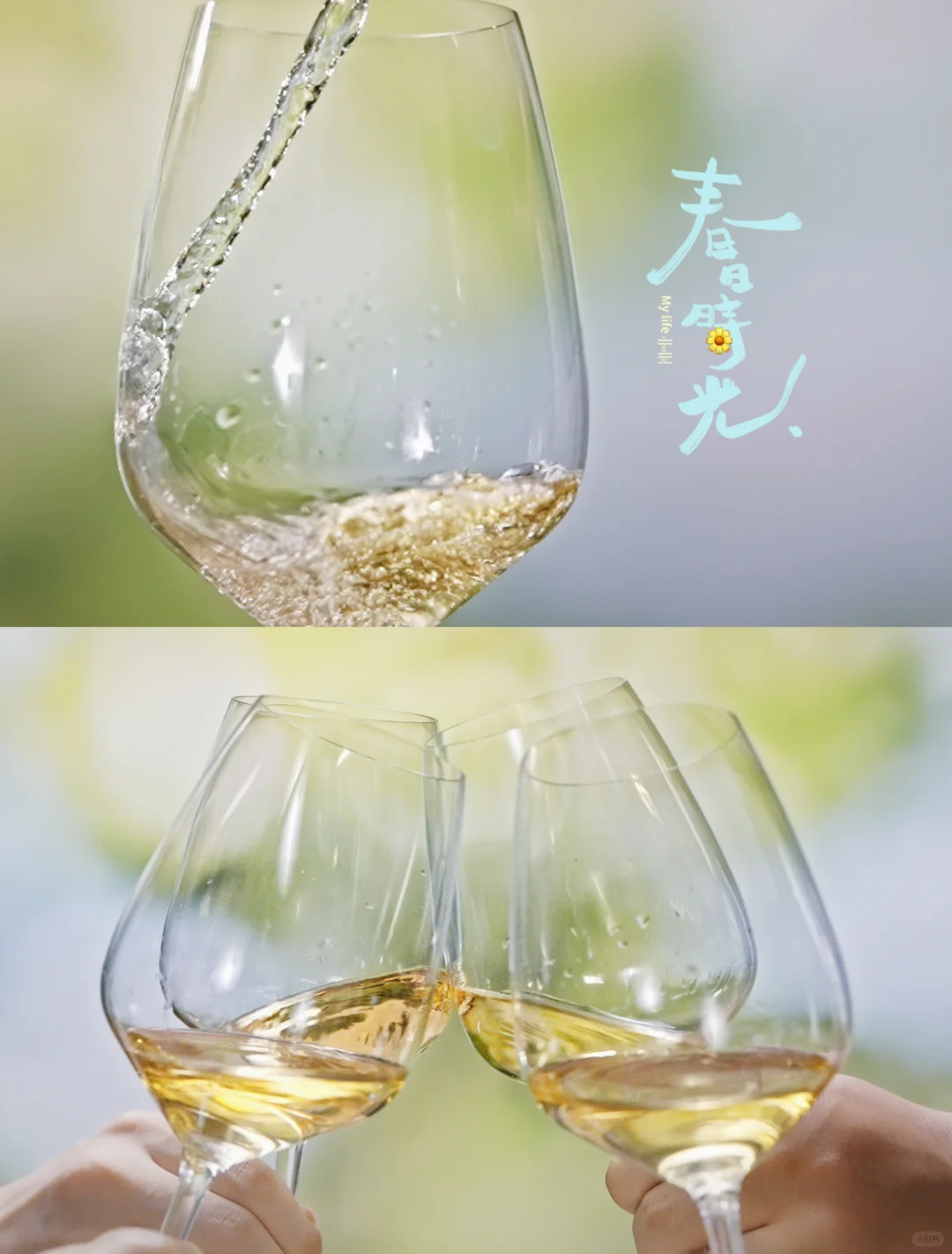 这杯白葡萄酒，刚好装得下整个春天✨