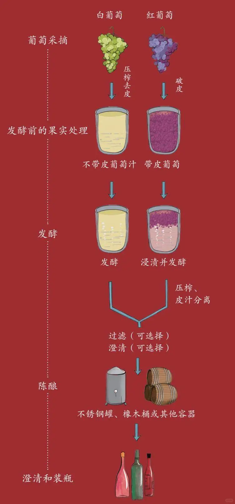 葡萄酒的酿造