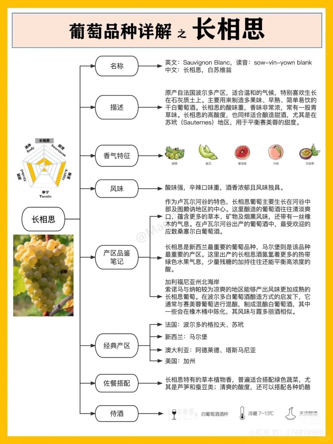 香港??考葡萄酒證書