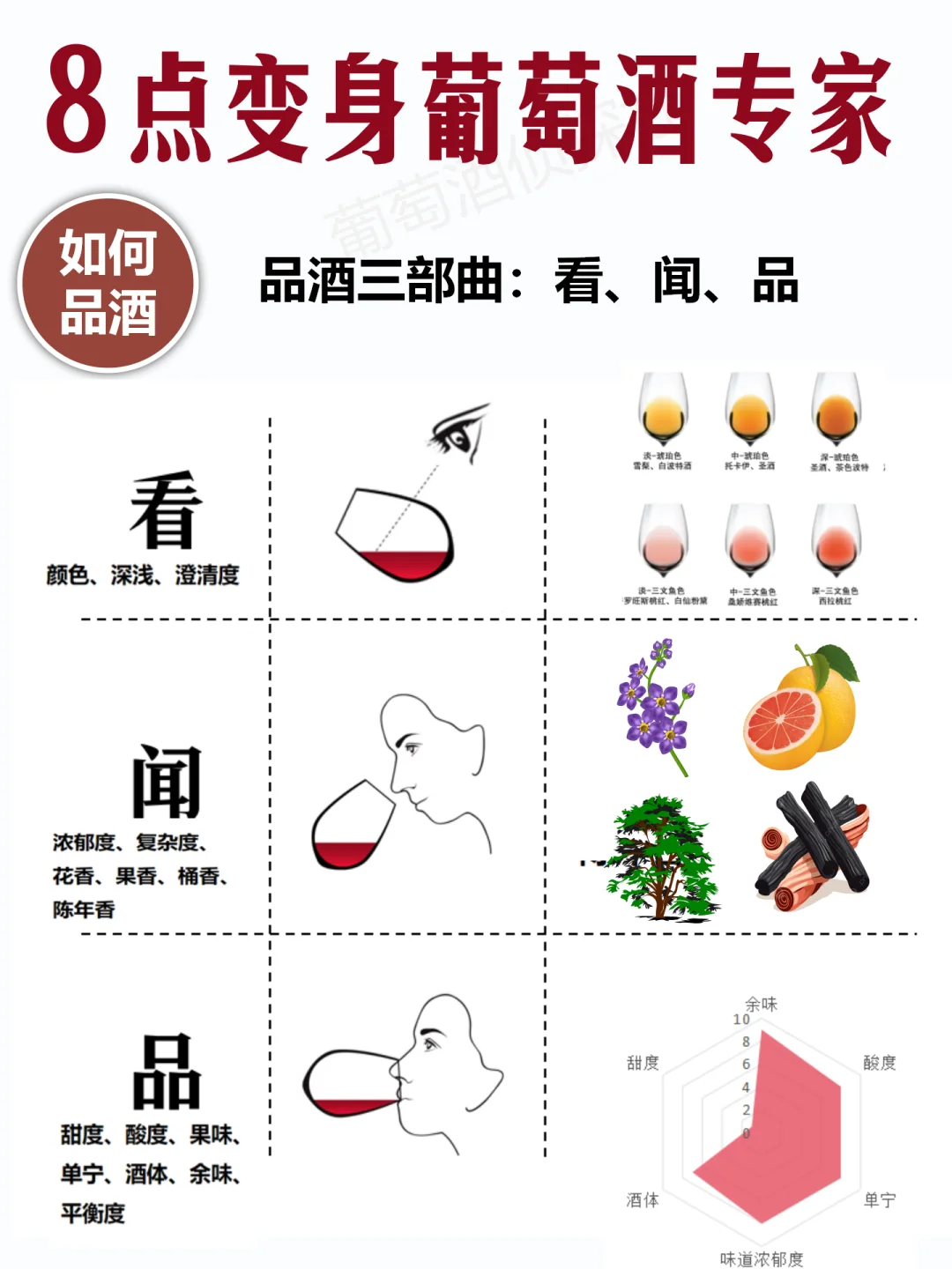 秒变红酒专家?，再也不怕酒局出洋相
