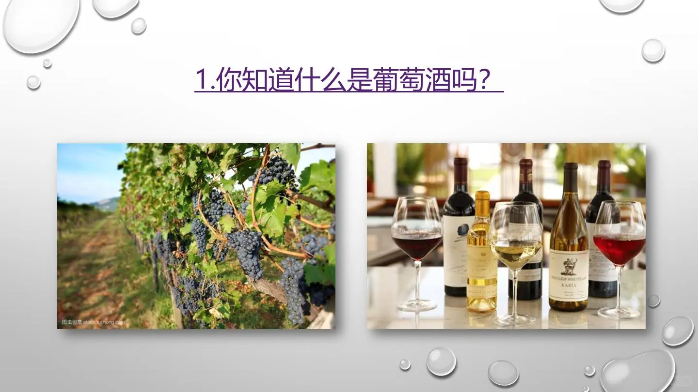 葡萄酒是什么？