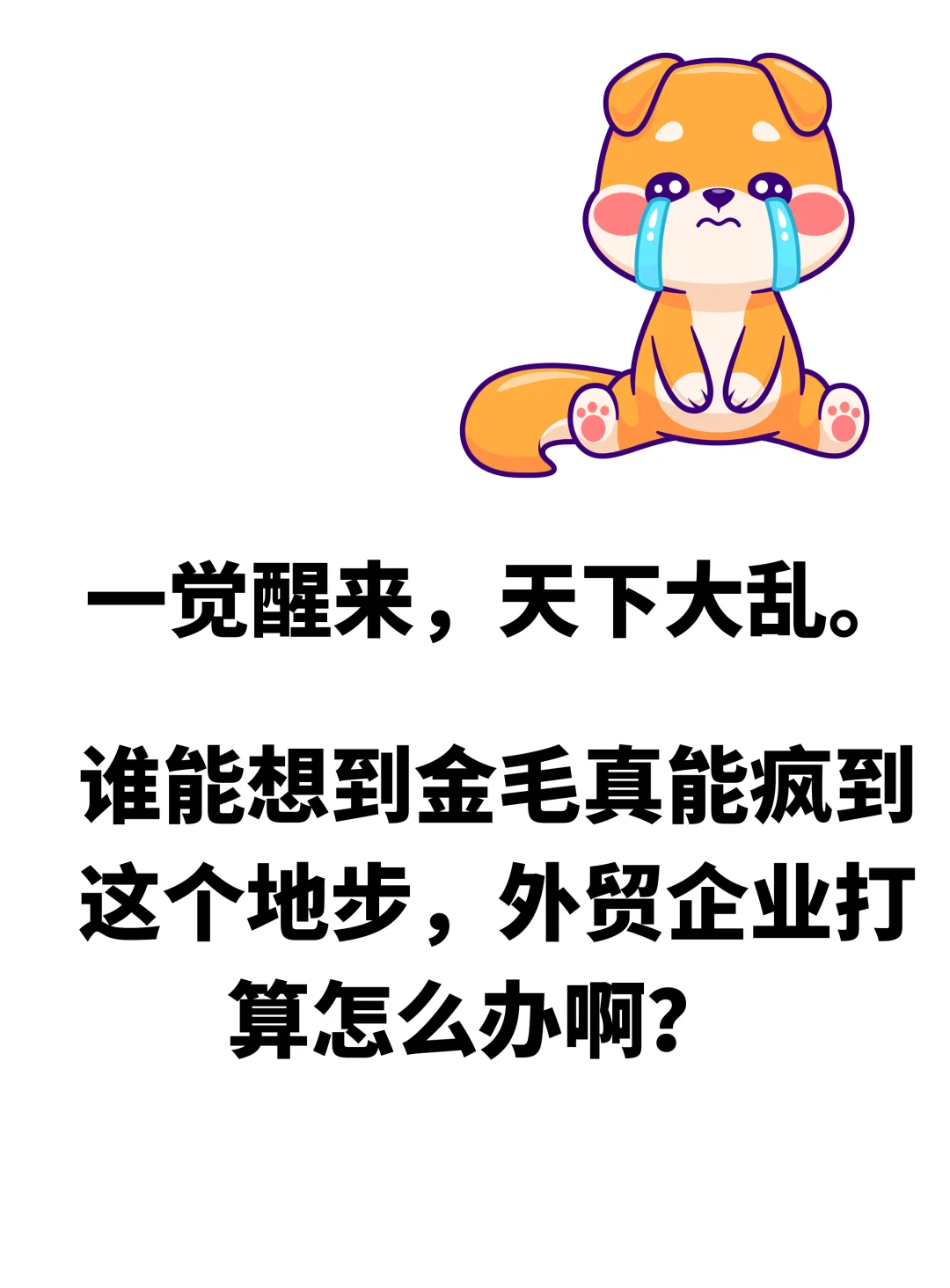? 太难了！ 外贸企业打算怎么应对啊？