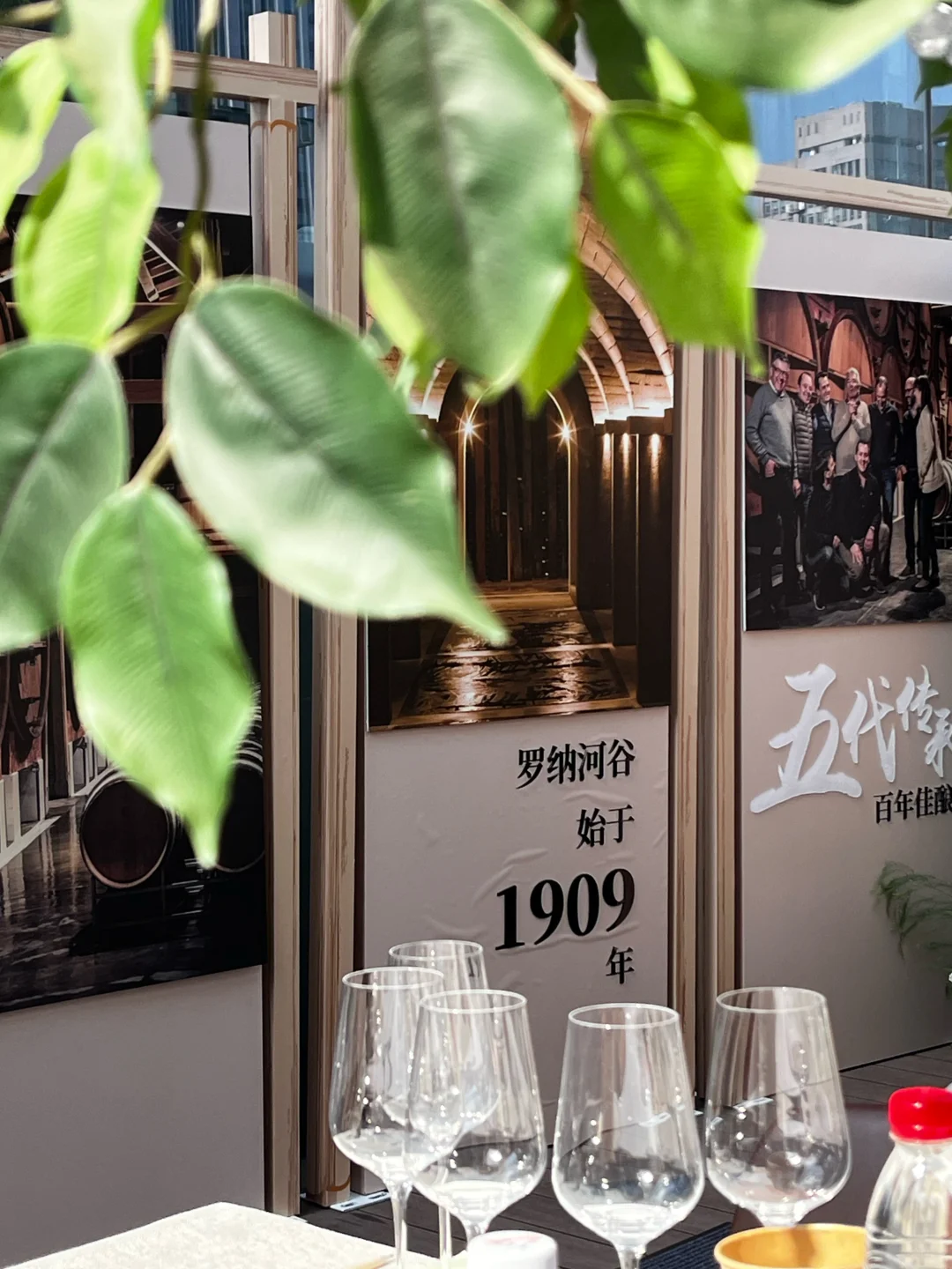美好的1️⃣个周末，品了五款哇塞塞的葡萄酒?