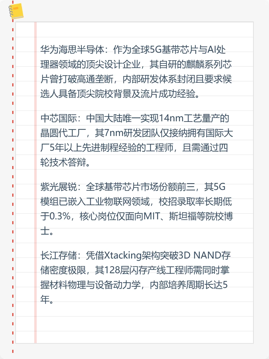 中国最难进入的十家芯片公司