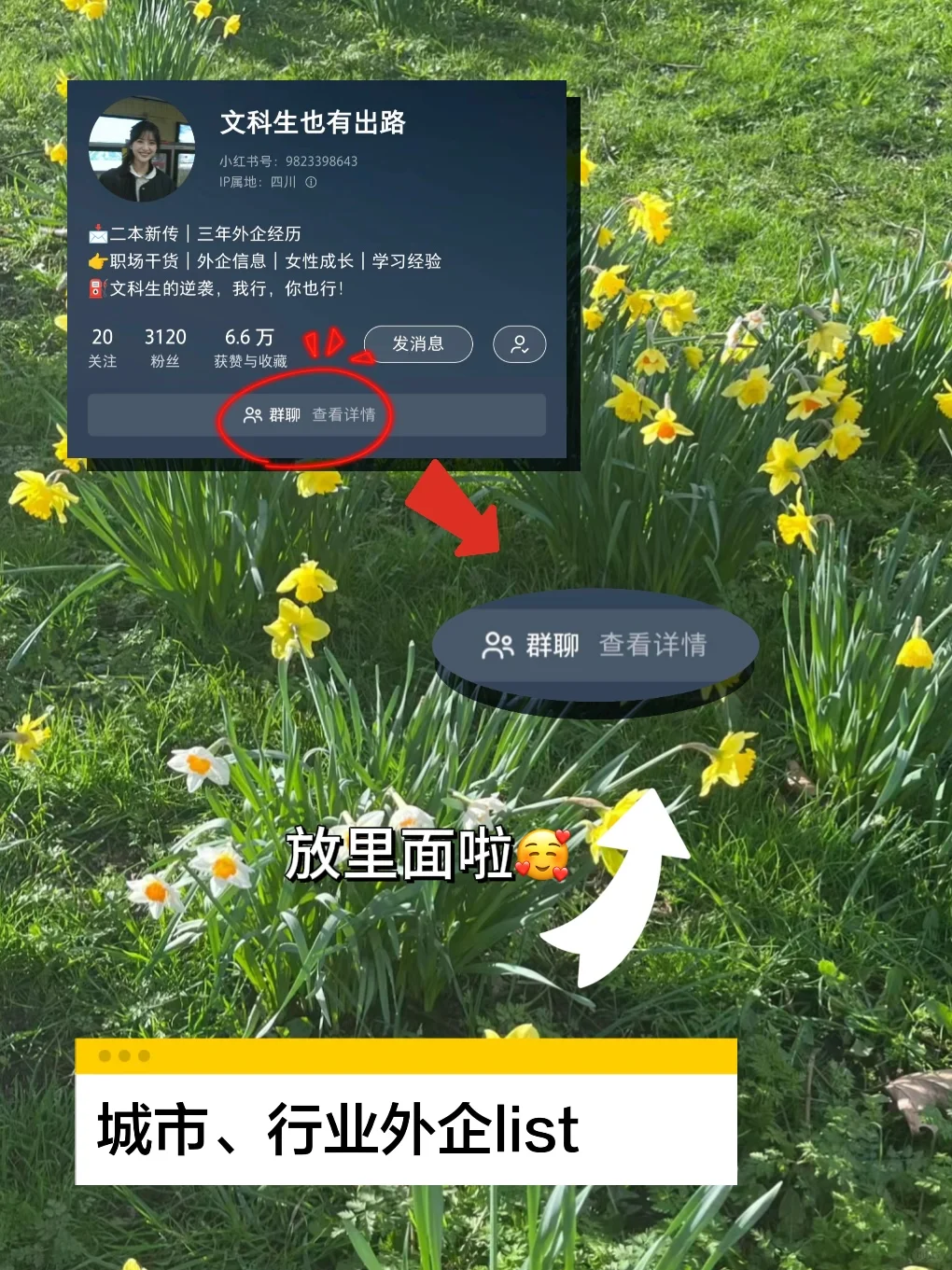 动医人也有属于自己的铁饭碗