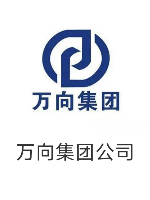 【请点评】万向集团公司