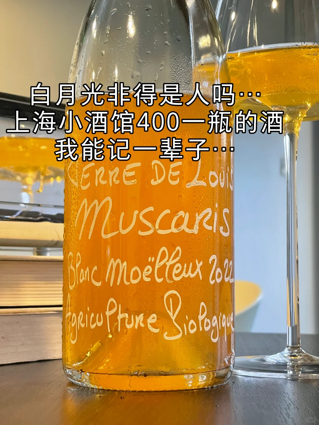 白月光非得是人吗…