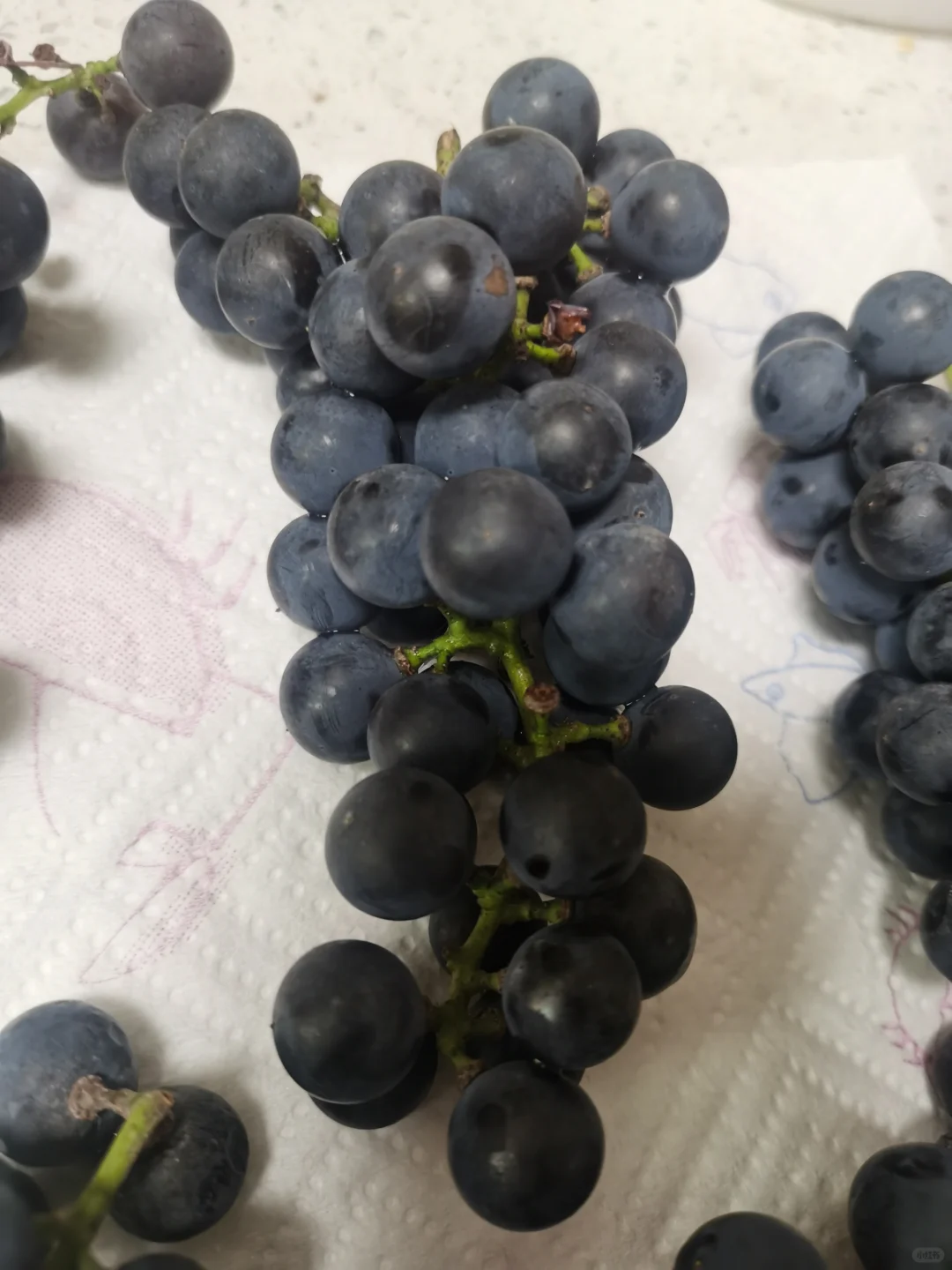 自酿葡萄酒会中毒吗？