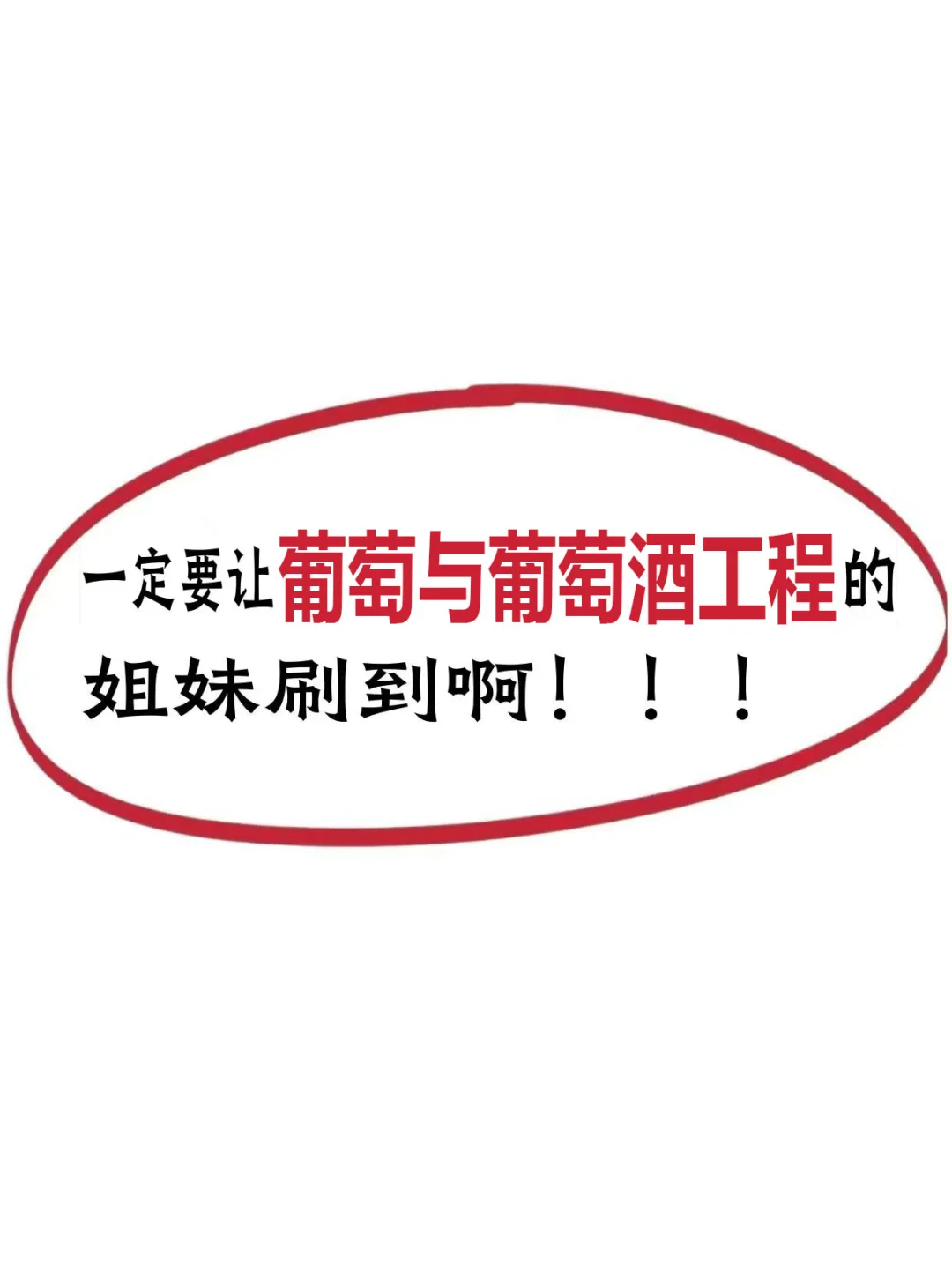 拜托?一定要让葡萄与葡萄酒工程的姐妹刷