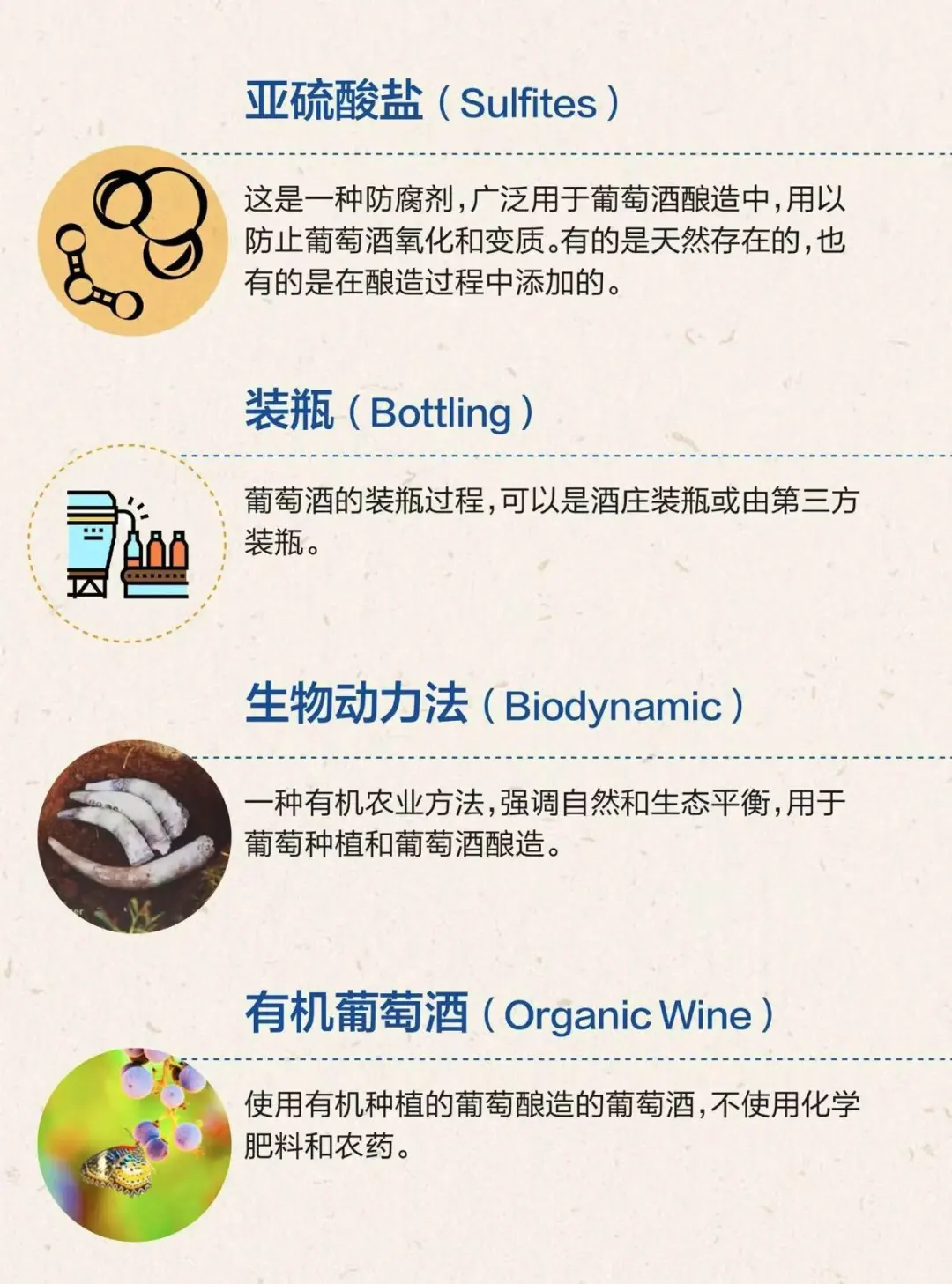 红酒小知识来啦！