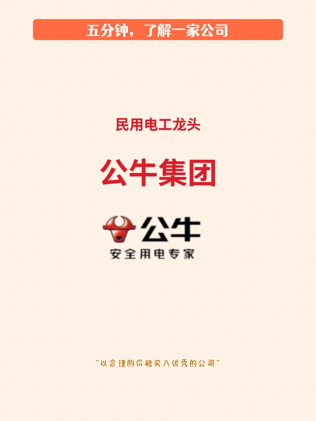 五分钟了解一家公司，No.20 公牛集团