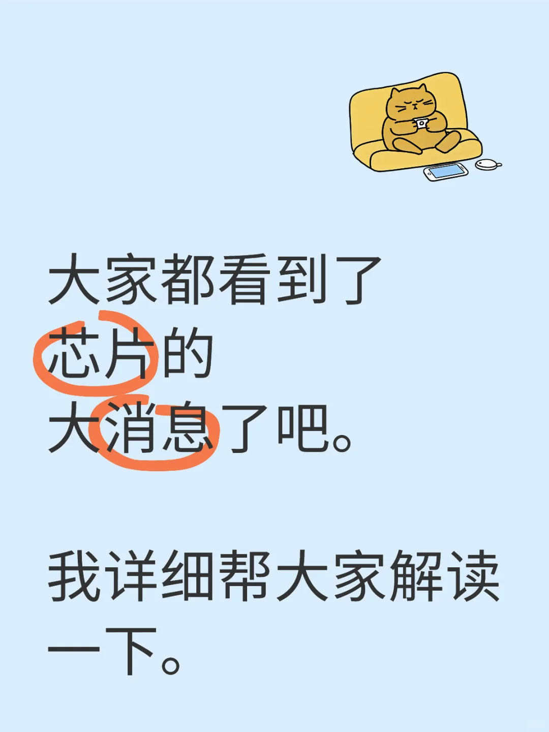 芯片政策解读