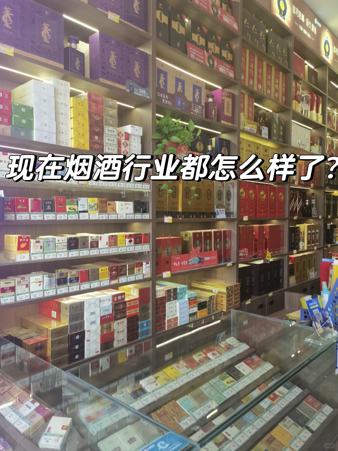 烟酒行业