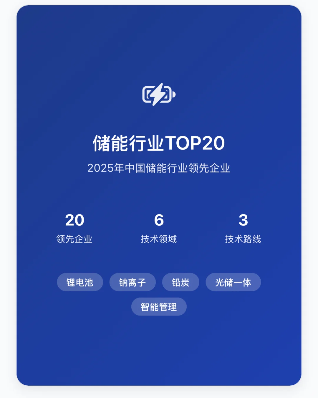 储能行业企业TOP20
