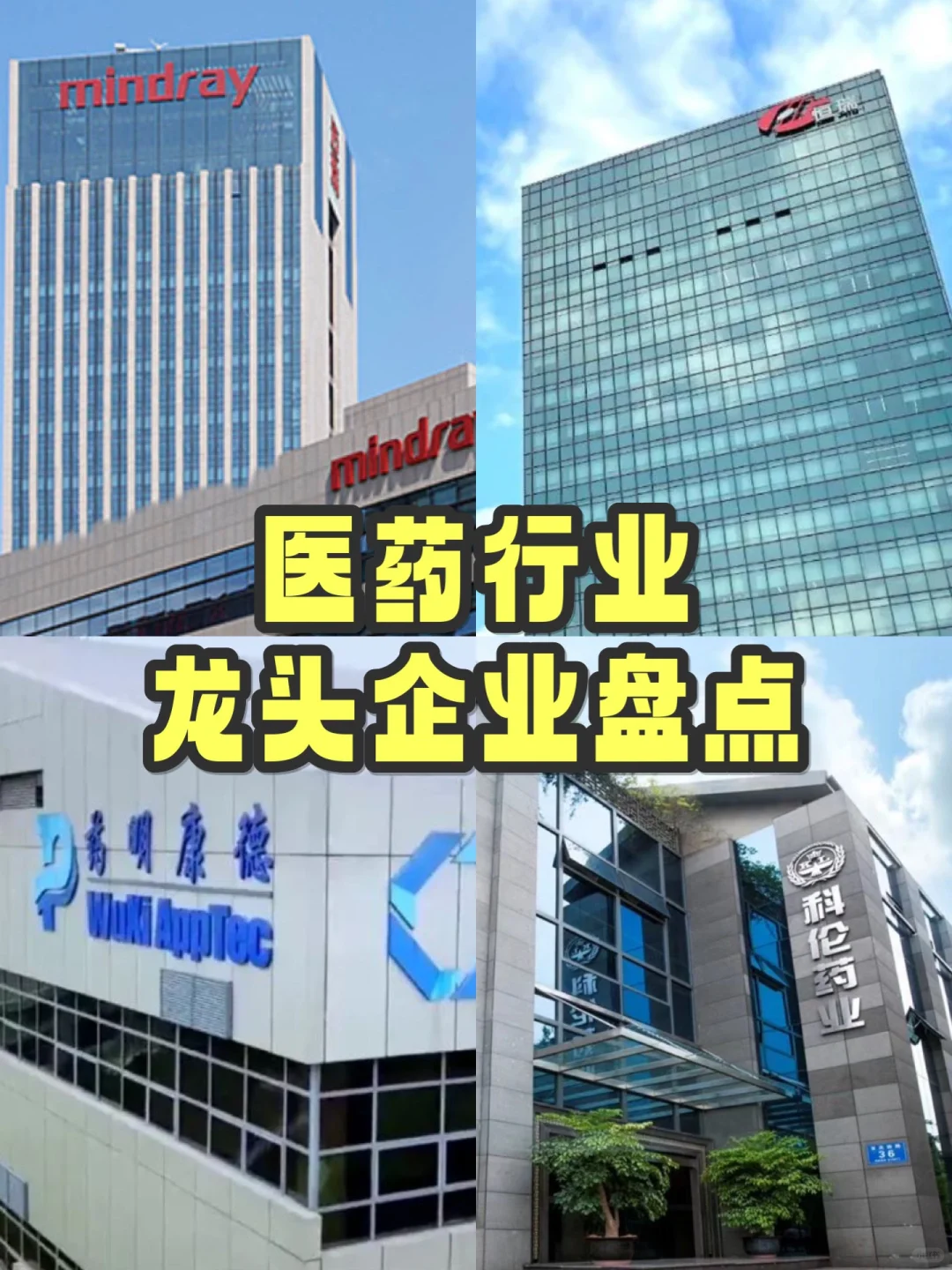 医药行业龙头企业盘点