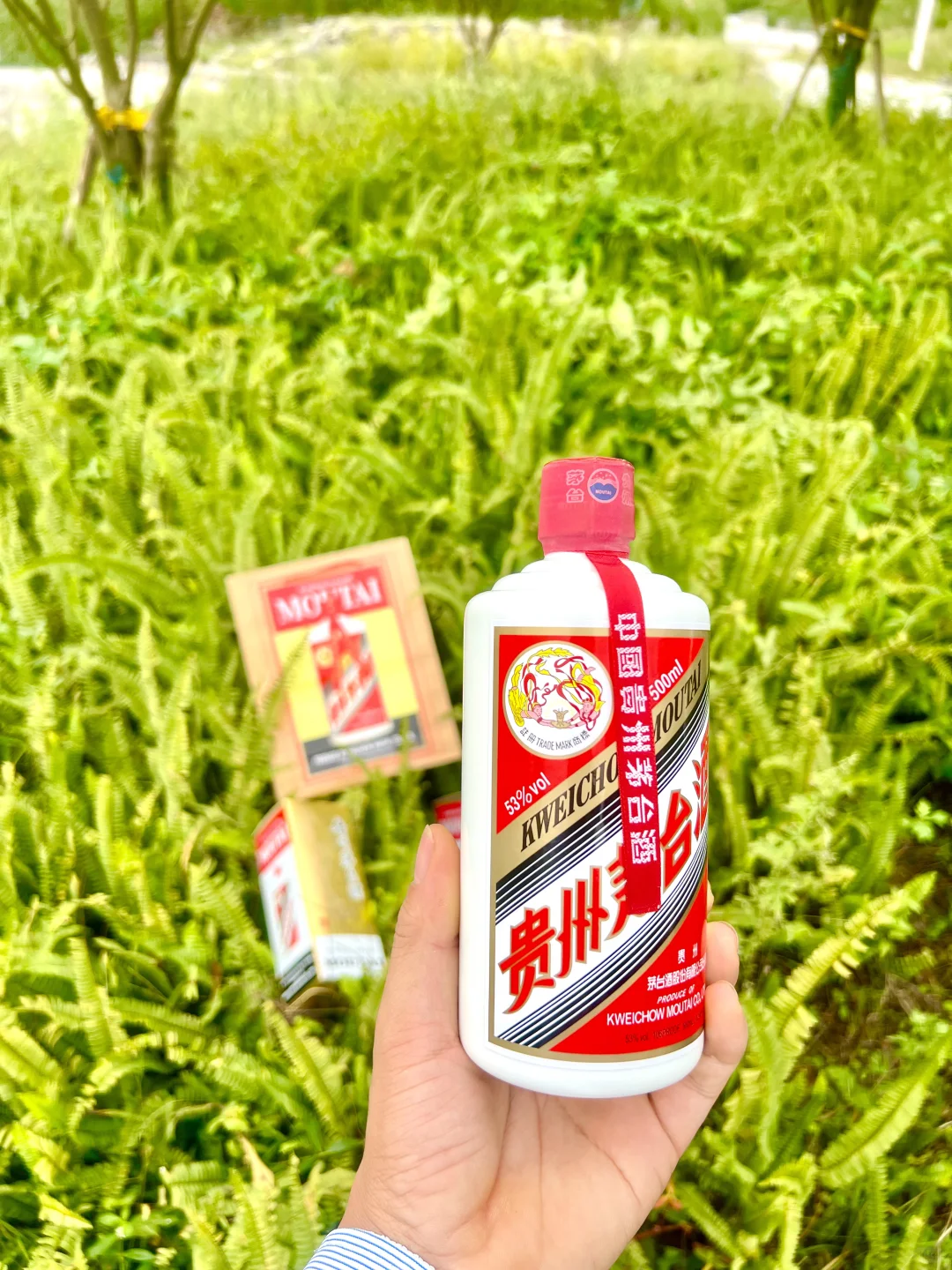 飞天茅台五粮液