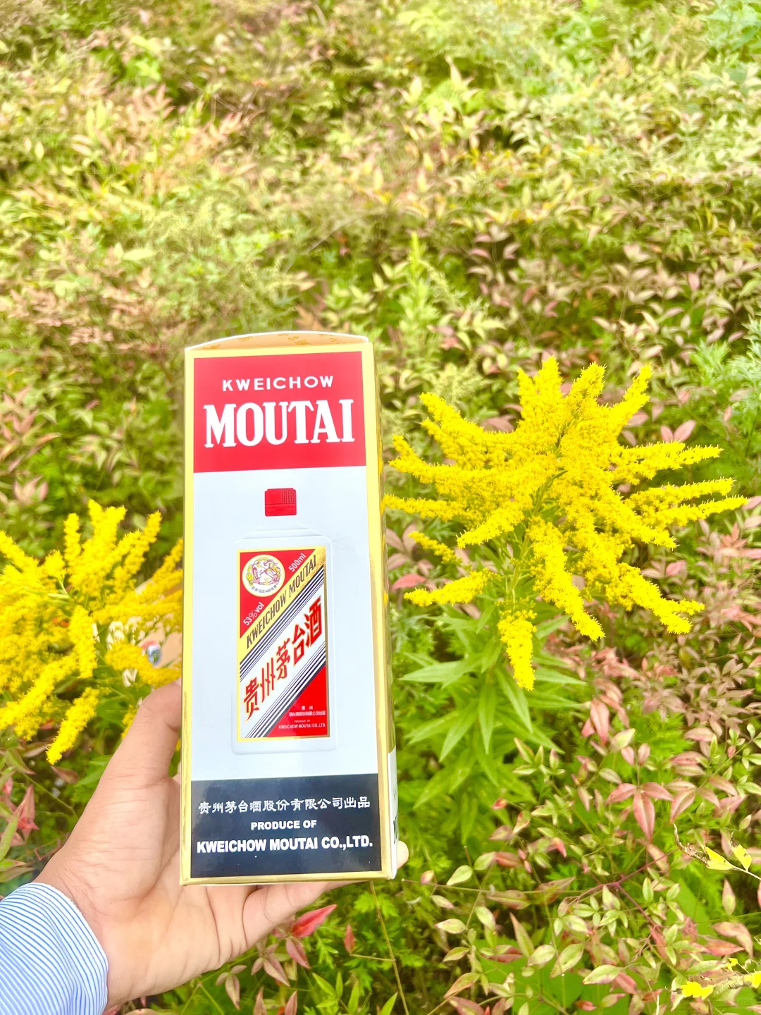 飞天茅台五粮液