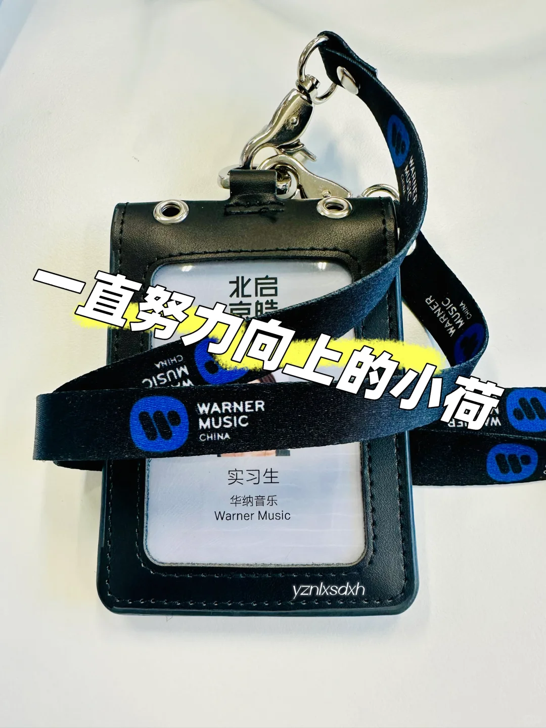 音乐行业实习之【华纳音乐】｜幸福感超级高?