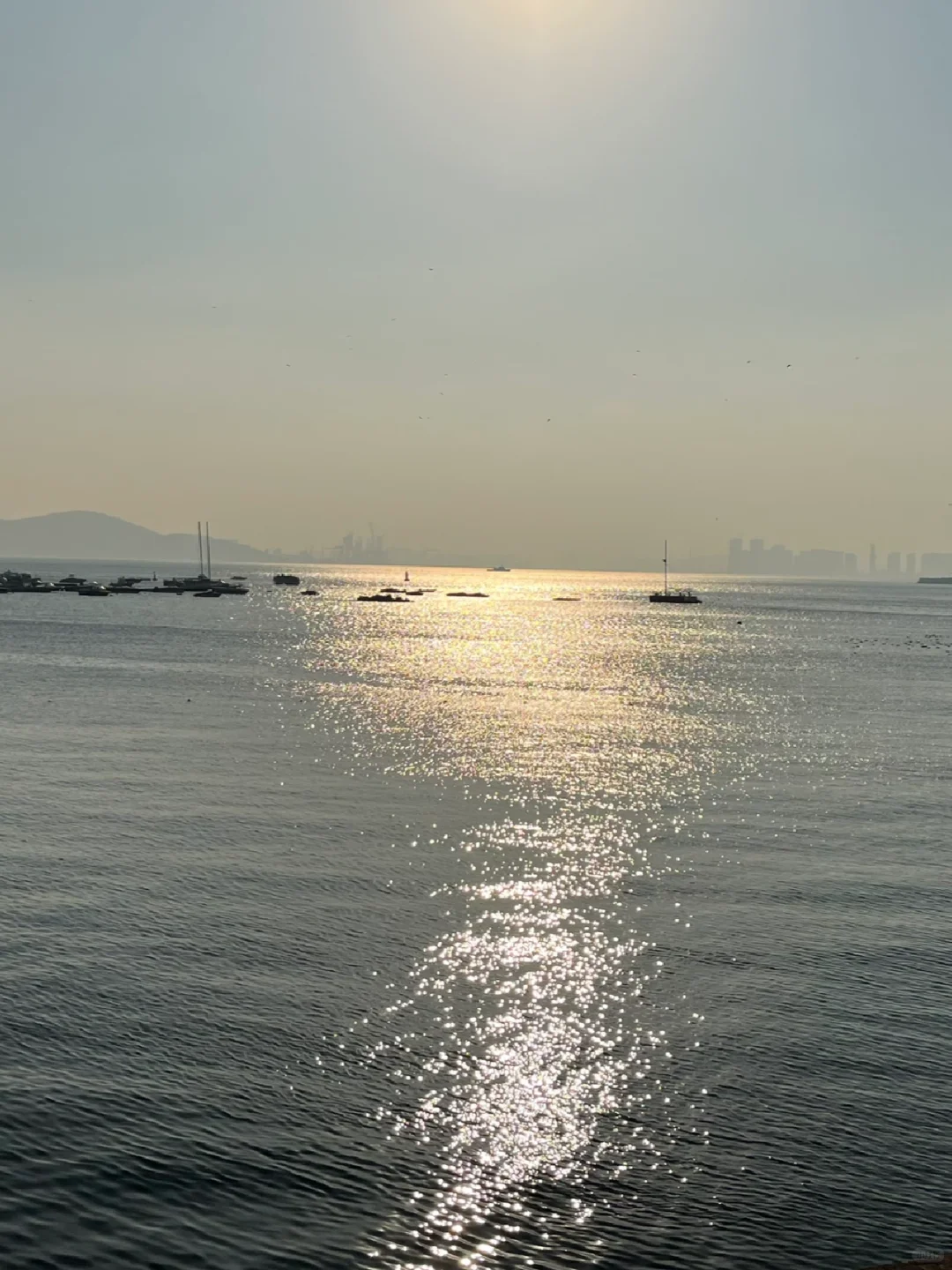 你适合什么职业——水篇