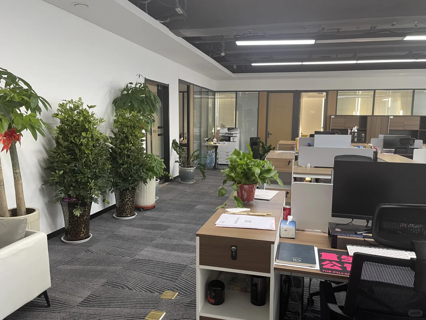 双休！双休！双休！周末不加班 愿意挑战高薪工