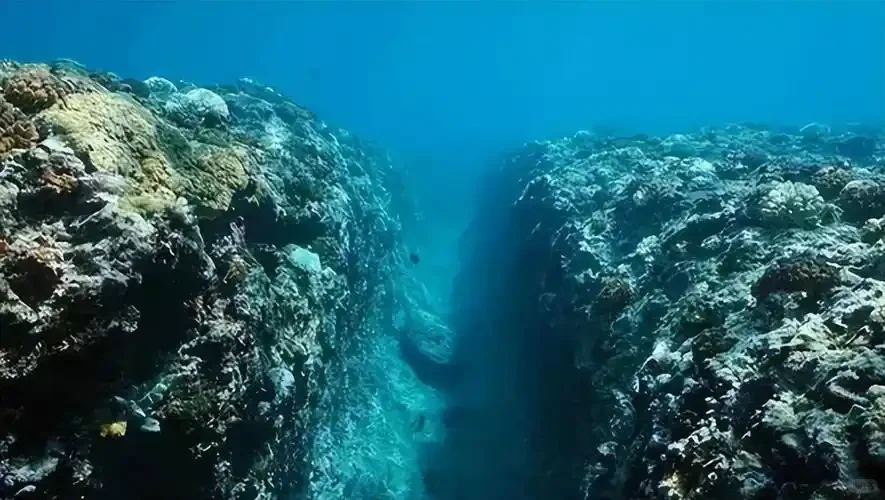 葡萄酒界惊现“脏脏酒”？竟然是海藏干红