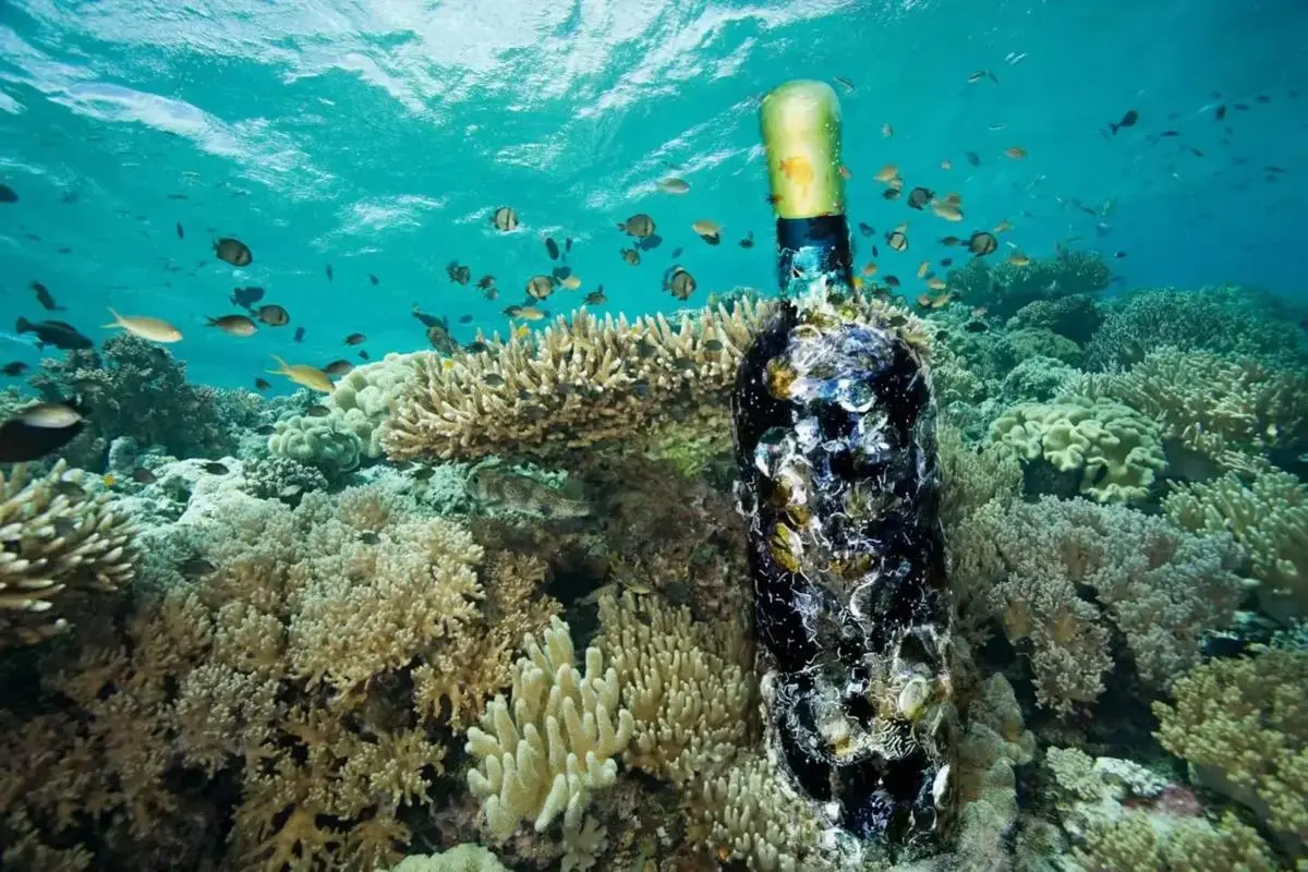 葡萄酒界惊现“脏脏酒”？竟然是海藏干红