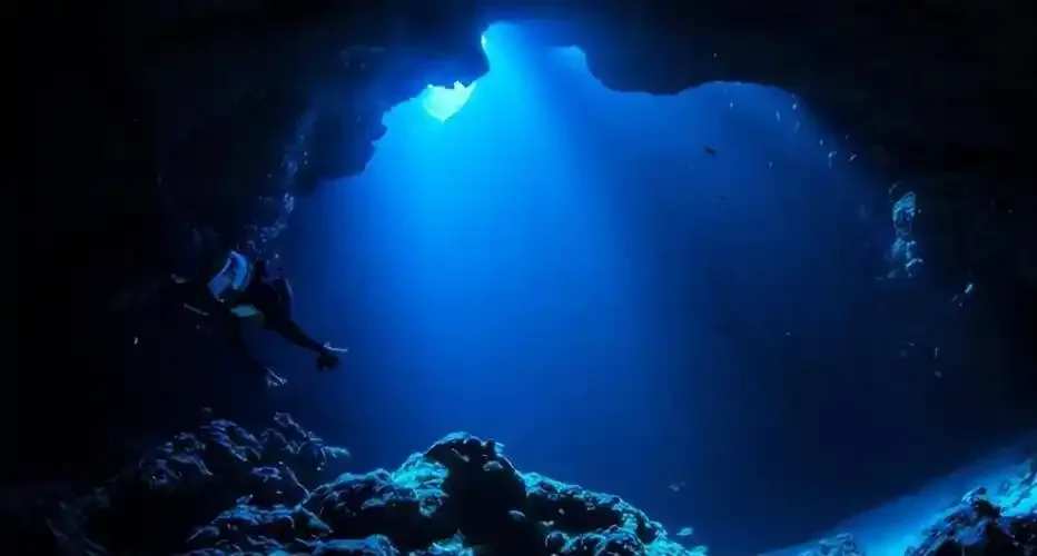 葡萄酒界惊现“脏脏酒”？竟然是海藏干红