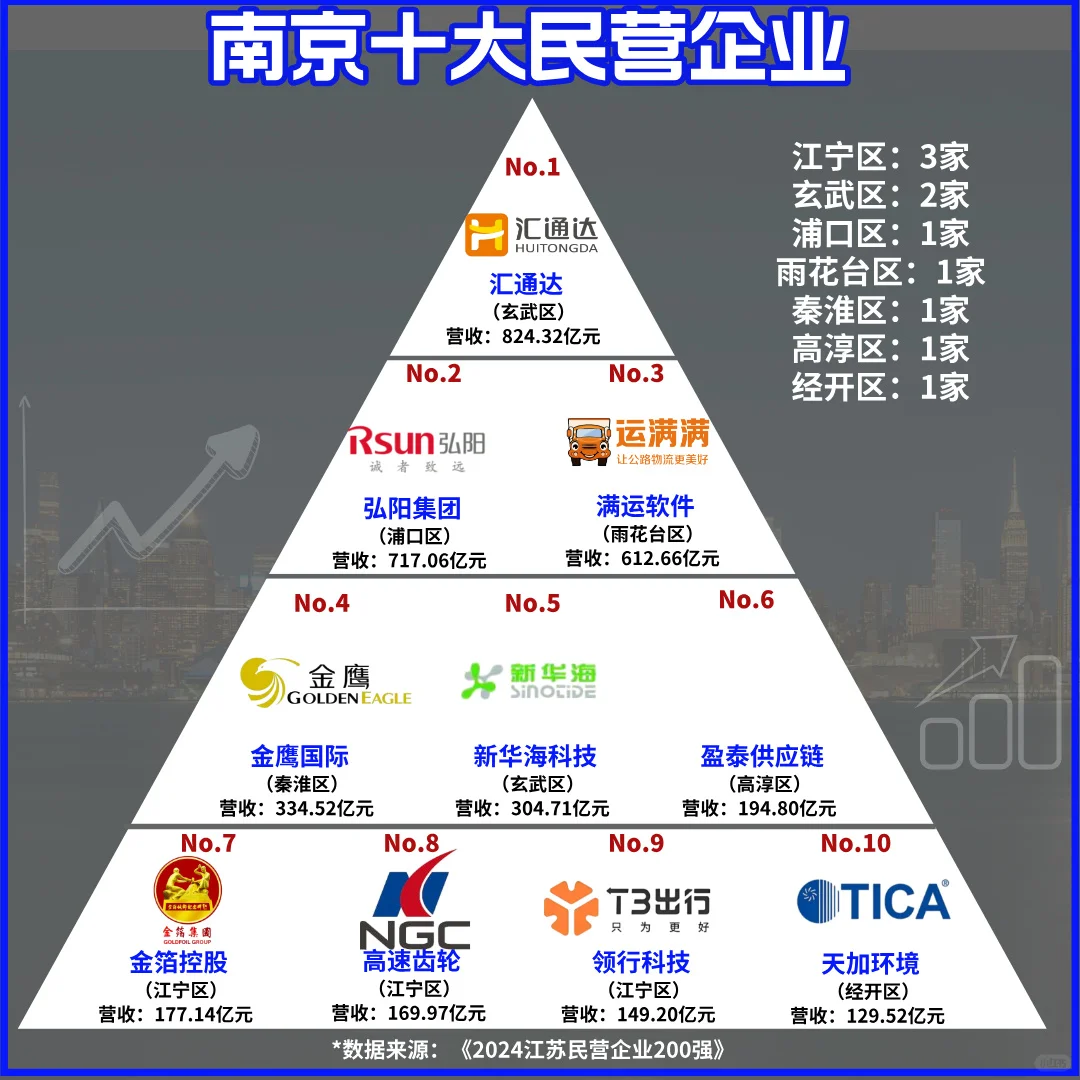 南京市十大民营企业概览
