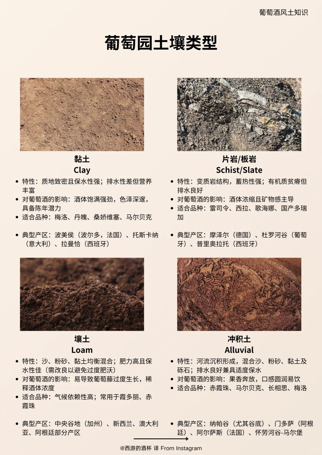 ?葡萄土壤的重要性，可能远超你的想象