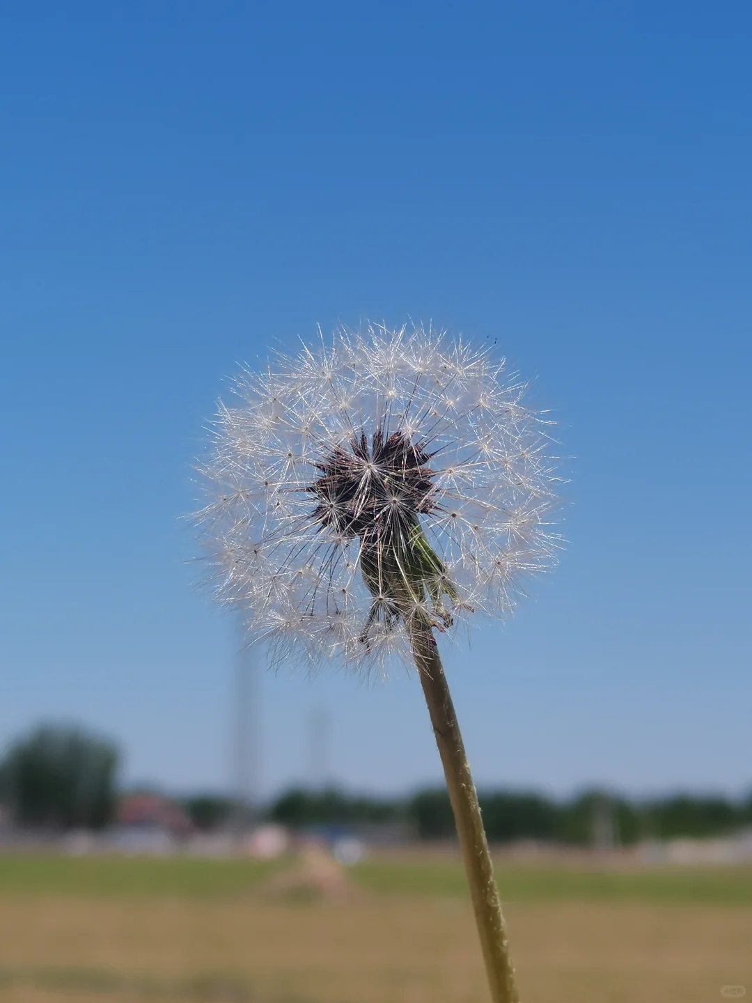 除了黄盖汾，还有更好喝的吗？哈哈哈
