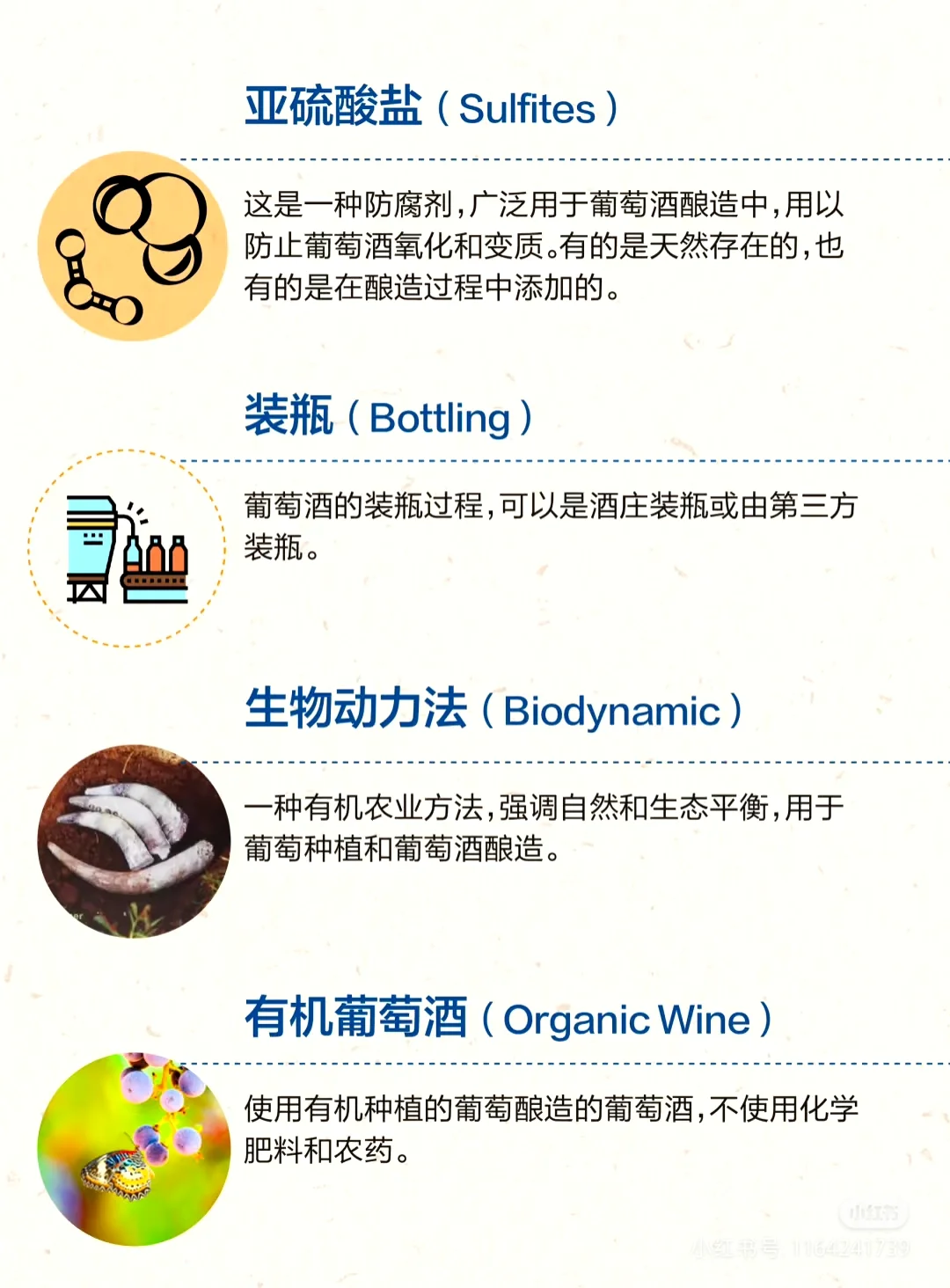 葡萄酒知识 | 16个必知的葡萄酒术语