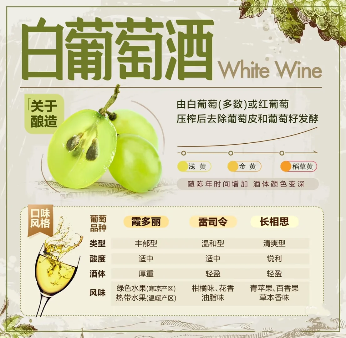 5张图带你入门葡萄酒，?入门品酒小知识