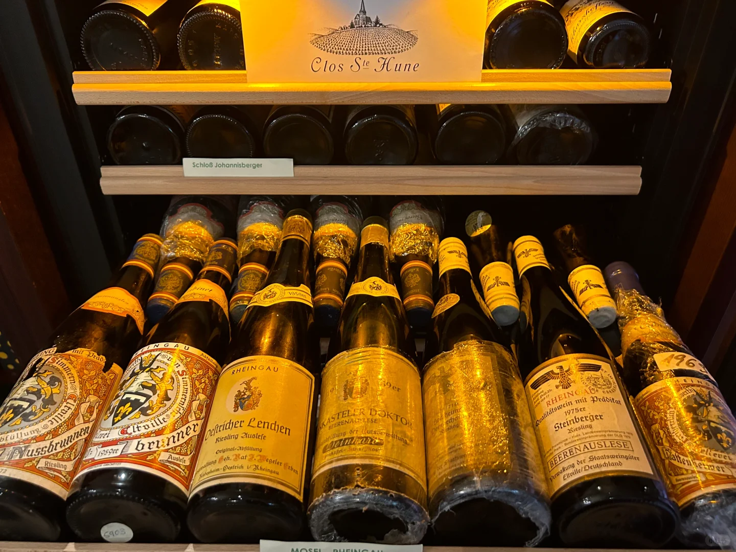 柏林|葡萄酒指南【1】