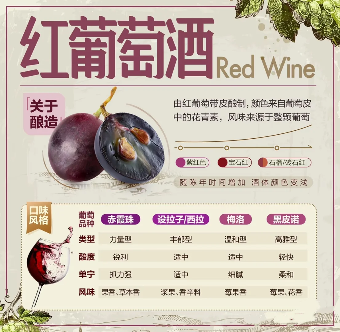 5张图带你入门葡萄酒，?入门品酒小知识