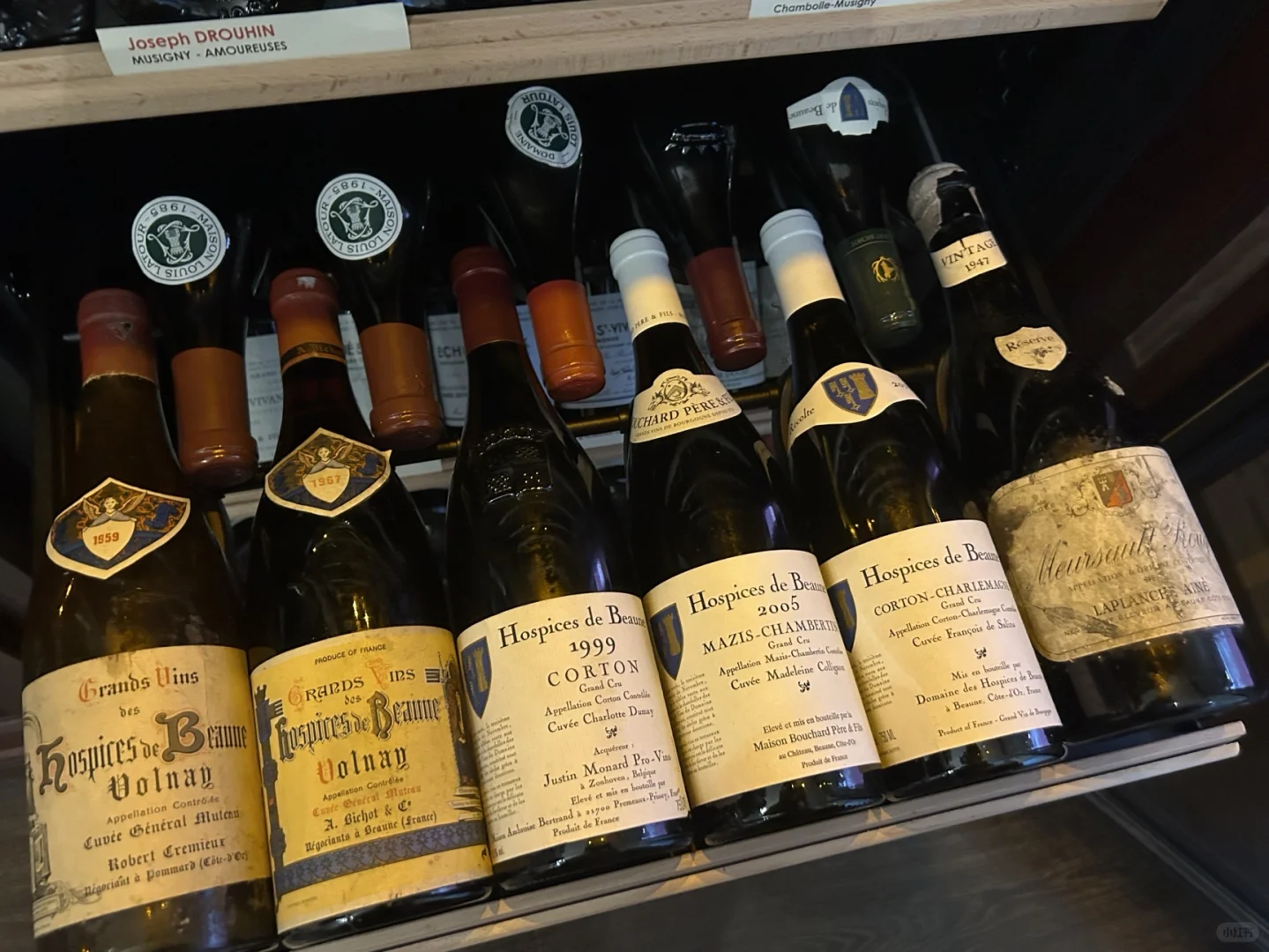 柏林|葡萄酒指南【1】