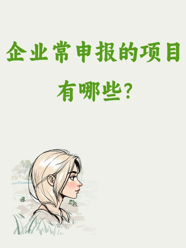 目前企业常申报的项目有哪些?