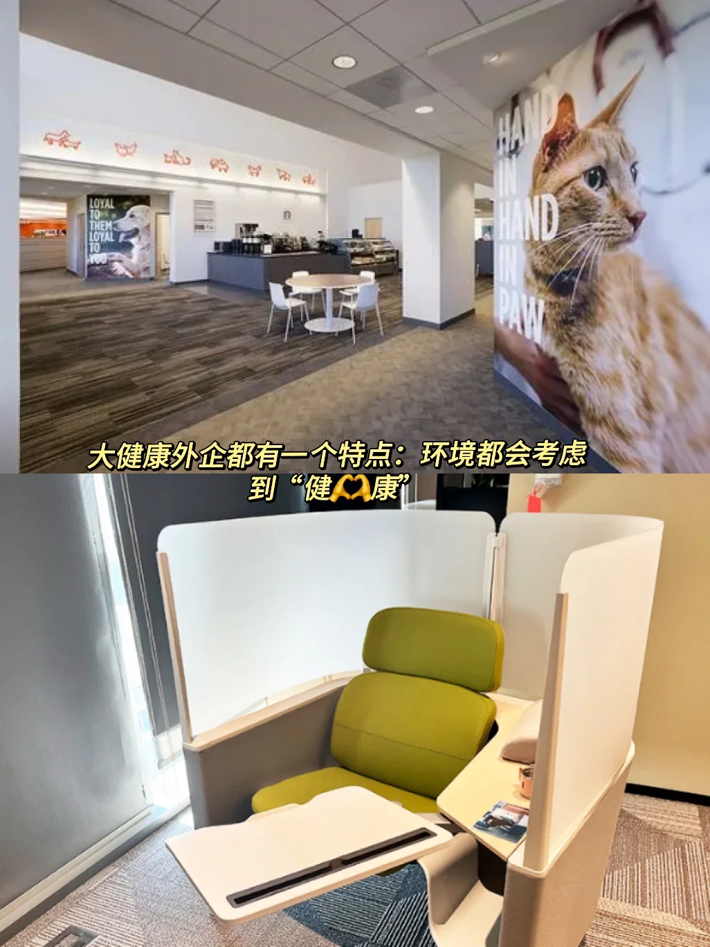 年后换工作，就去新兴行业外企！